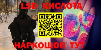 PSILOCYBIN Гусев