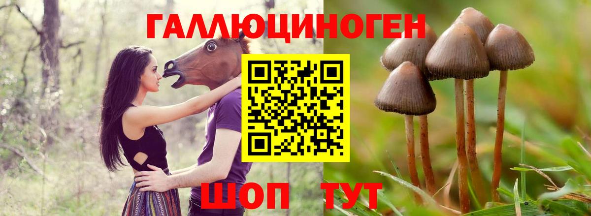 Псилоцибиновые грибы Cubensis Изобильный