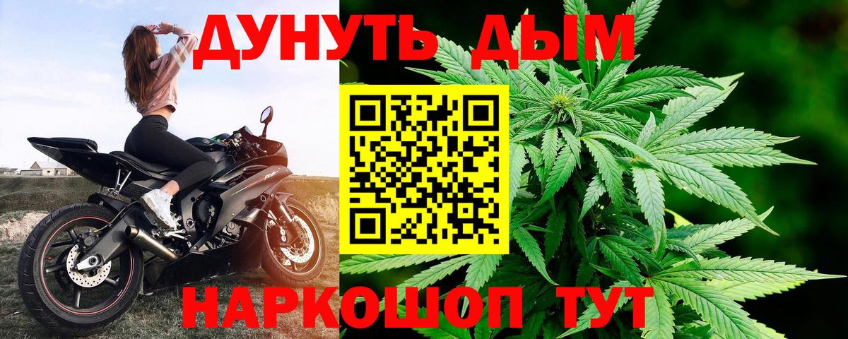 Конопля конопля Изобильный